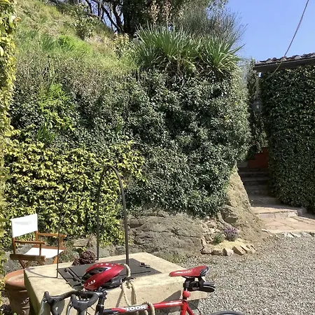 Holiday home Colleccio - Colline Di Lucca *