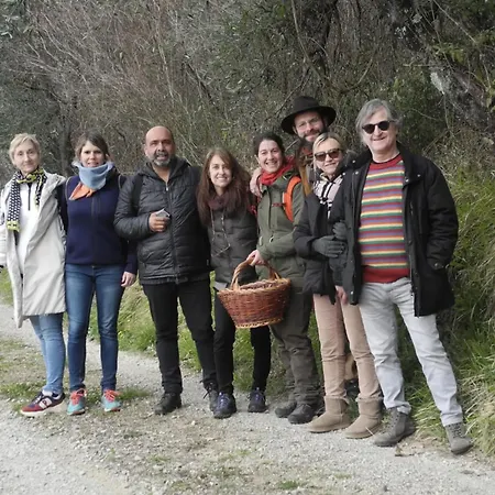 Holiday home Colleccio - Colline Di Lucca *