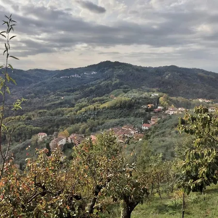 Colleccio - Colline Di Lucca Fibbialla