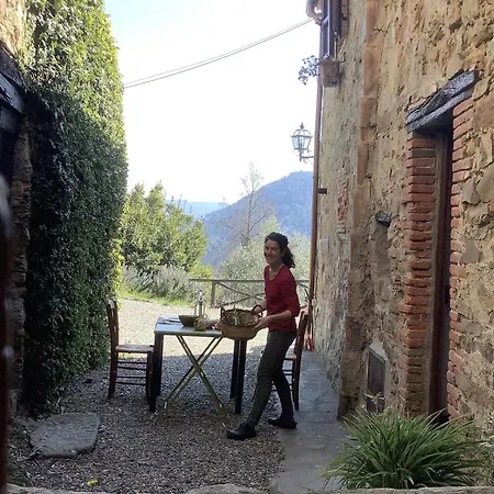 Holiday home Colleccio - Colline Di Lucca