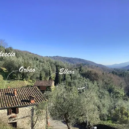 Colleccio - Colline Di Lucca *