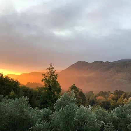 Colleccio - Colline Di Lucca Holiday home *