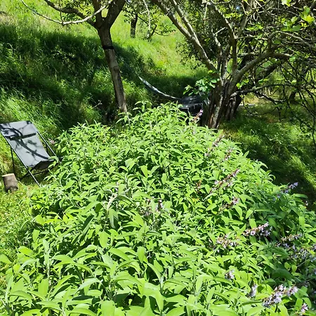 Colleccio - Colline Di Lucca Holiday home *
